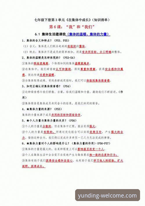 提升云顶集团流畅体验的实用技巧与必备知识
